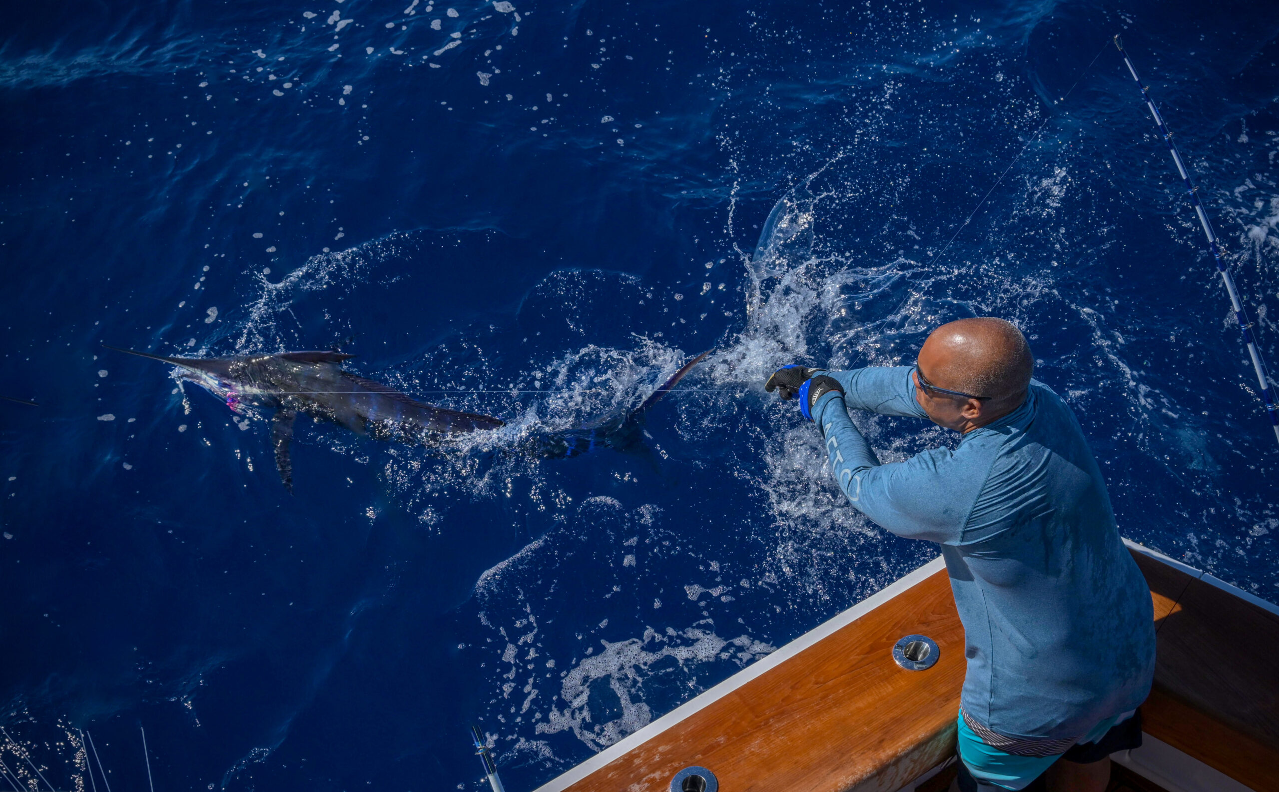 marlin fishing