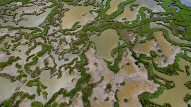 CCA Texas Approves $4.4 Million for Coastal Conservation