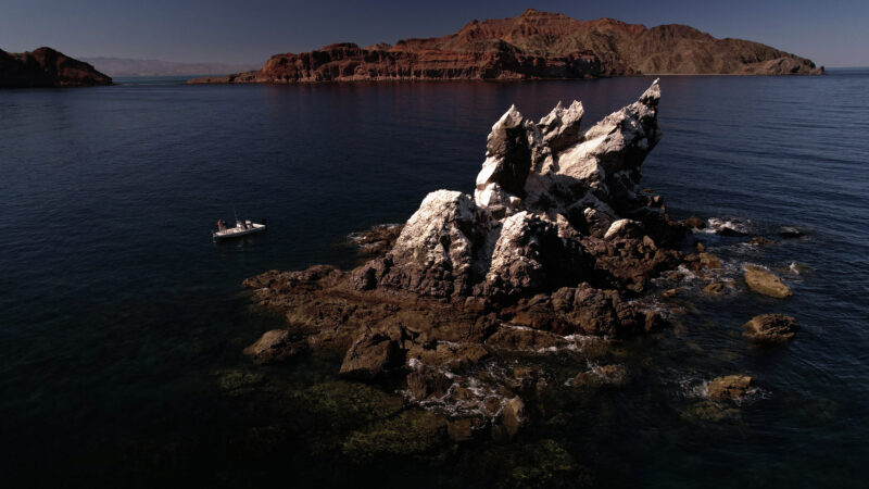 Baja Bound for Big Fish: An Adventure to Gonzaga Bay