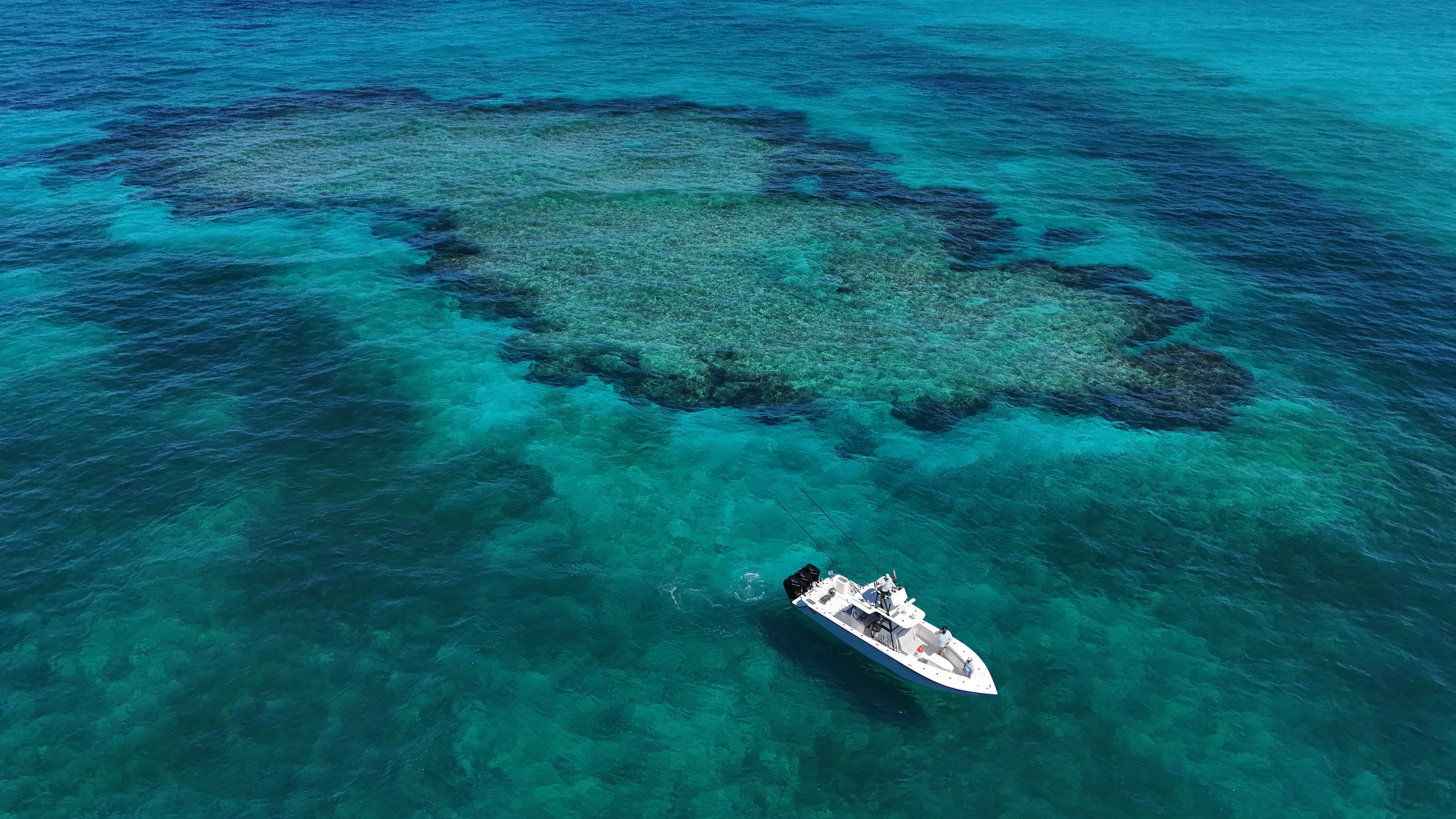 Carter Andrews: The Relentless Pursuit of Wild Waters