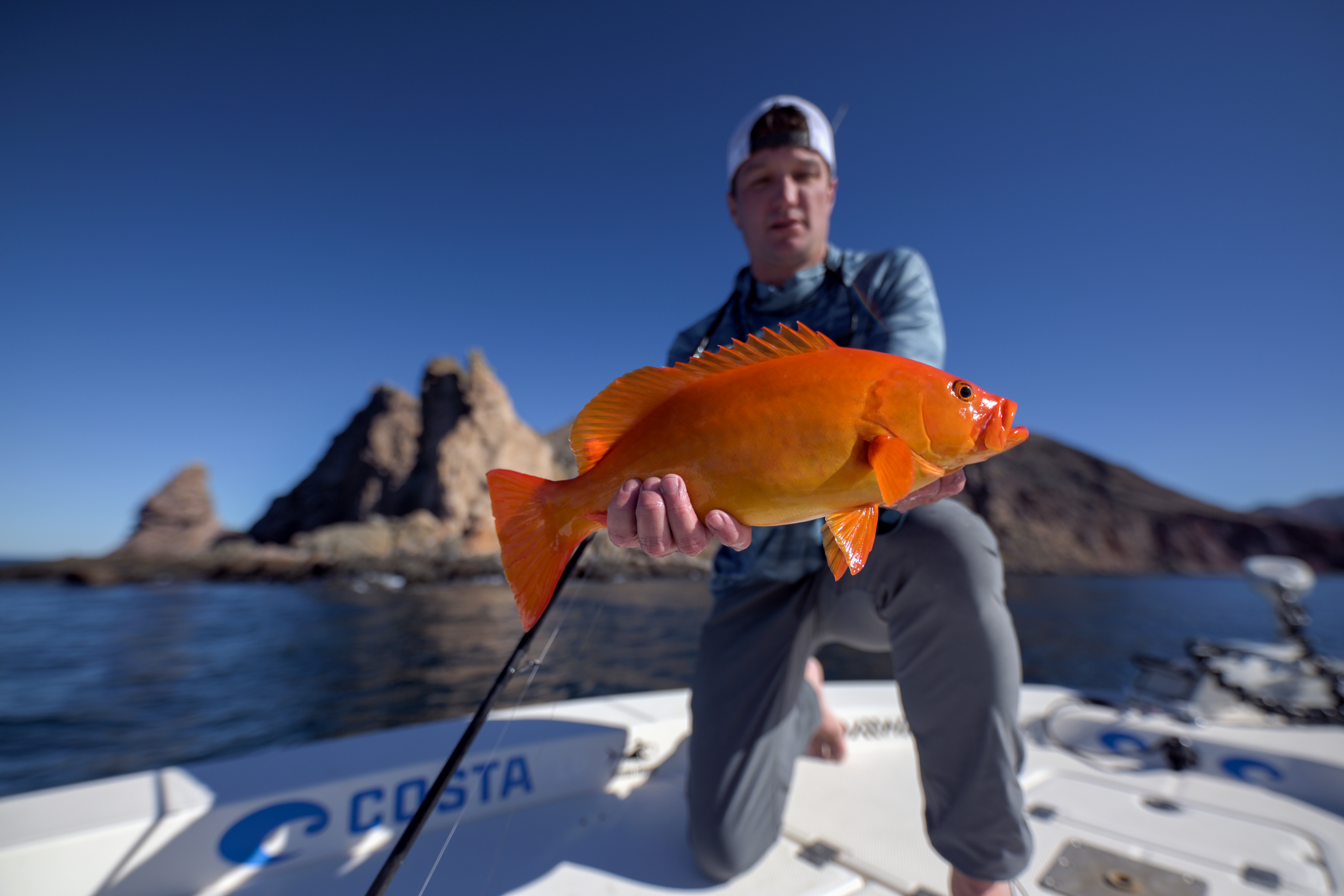 Baja Bound for Big Fish: An Adventure to Gonzaga Bay