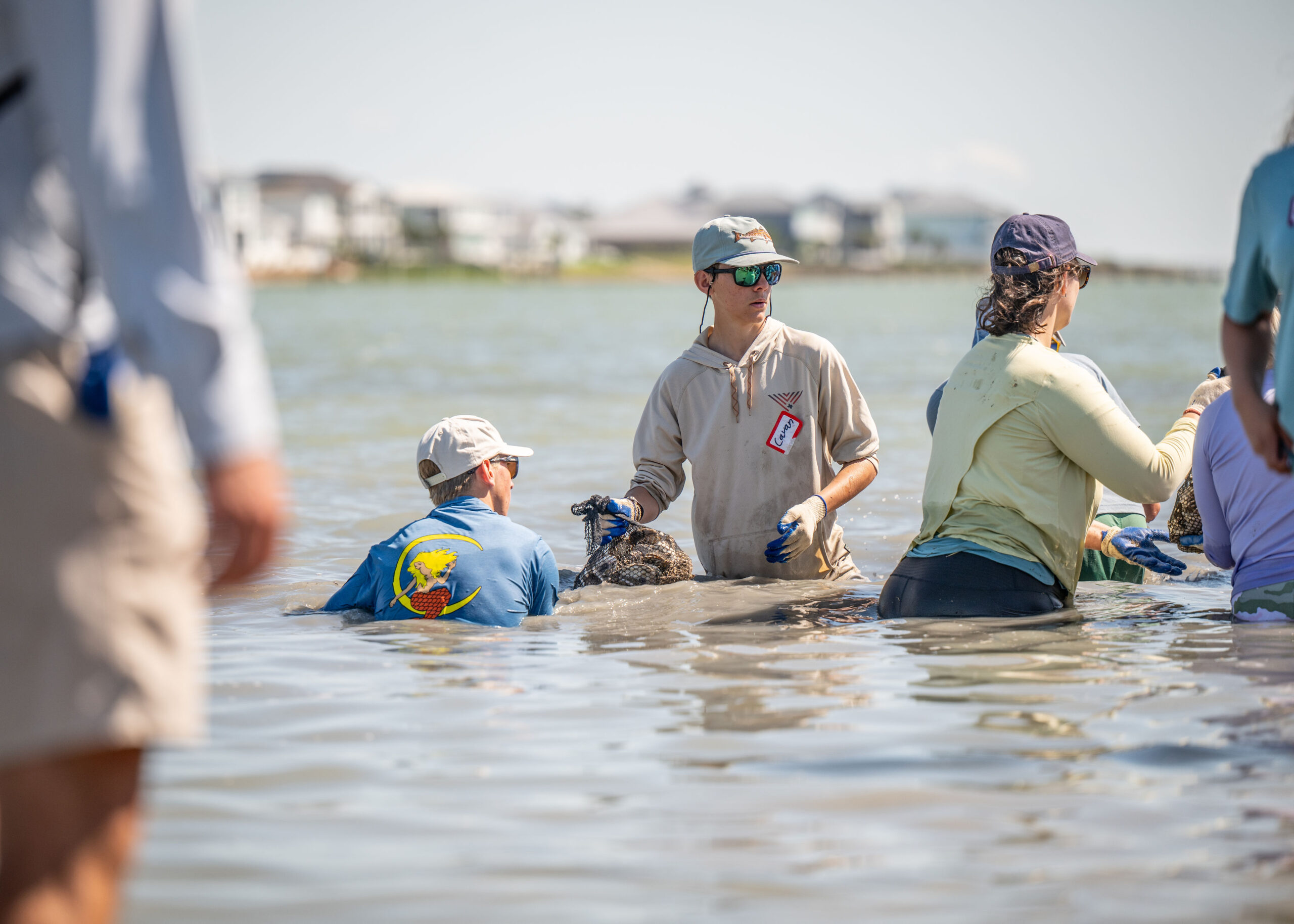 Shucks Sunk, Habitat Reborn: A Major Win for Texas Oyster Reefs