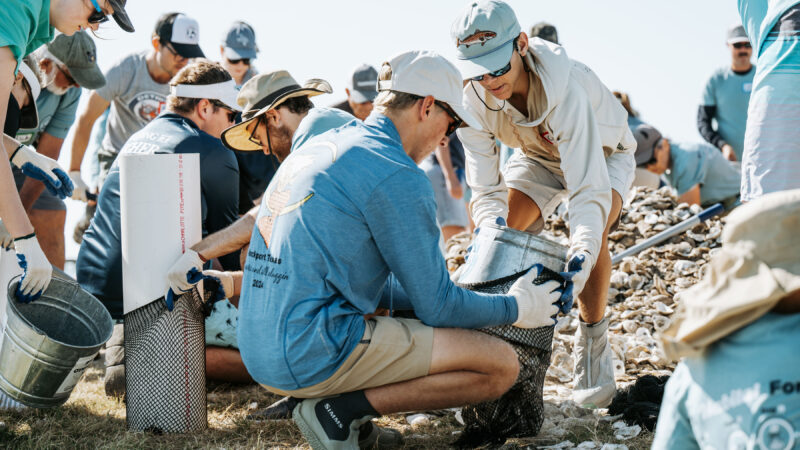Shucks Sunk, Habitat Reborn: A Major Win for Texas Oyster Reefs