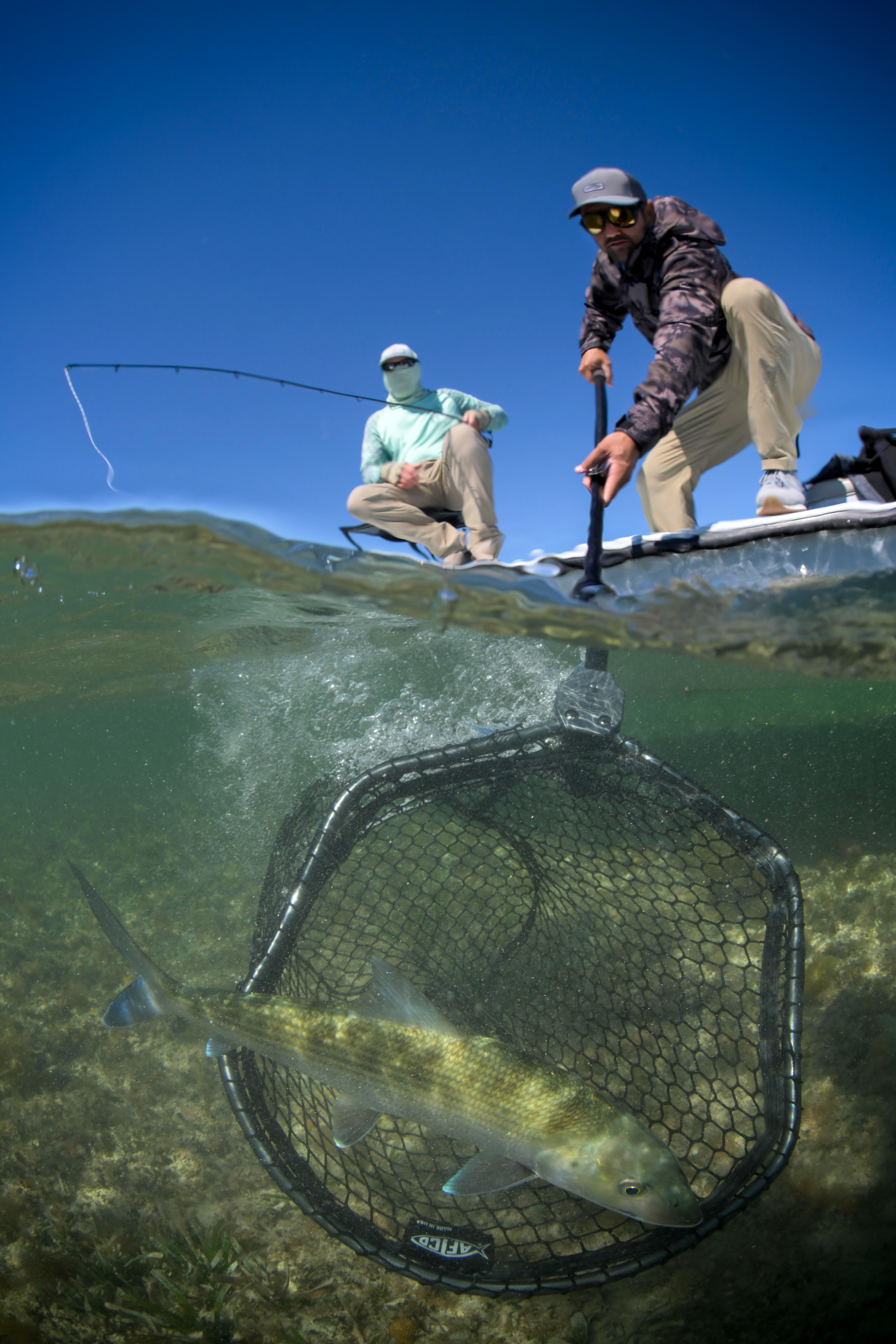 Florida Locks Down Bonefish Spawning Ground in Biscayne Bay