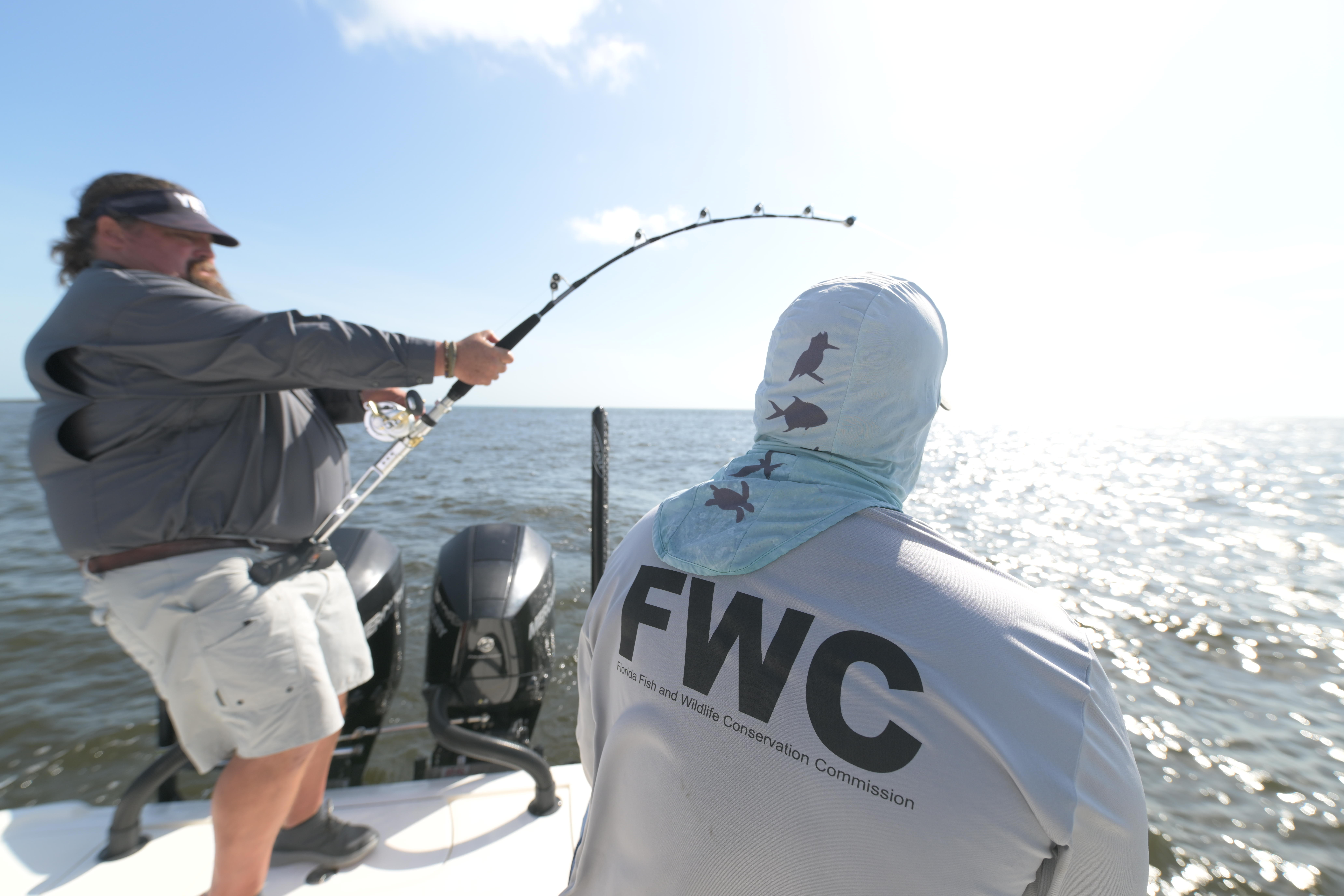 Tagging Sawfish in Stuart, Florida