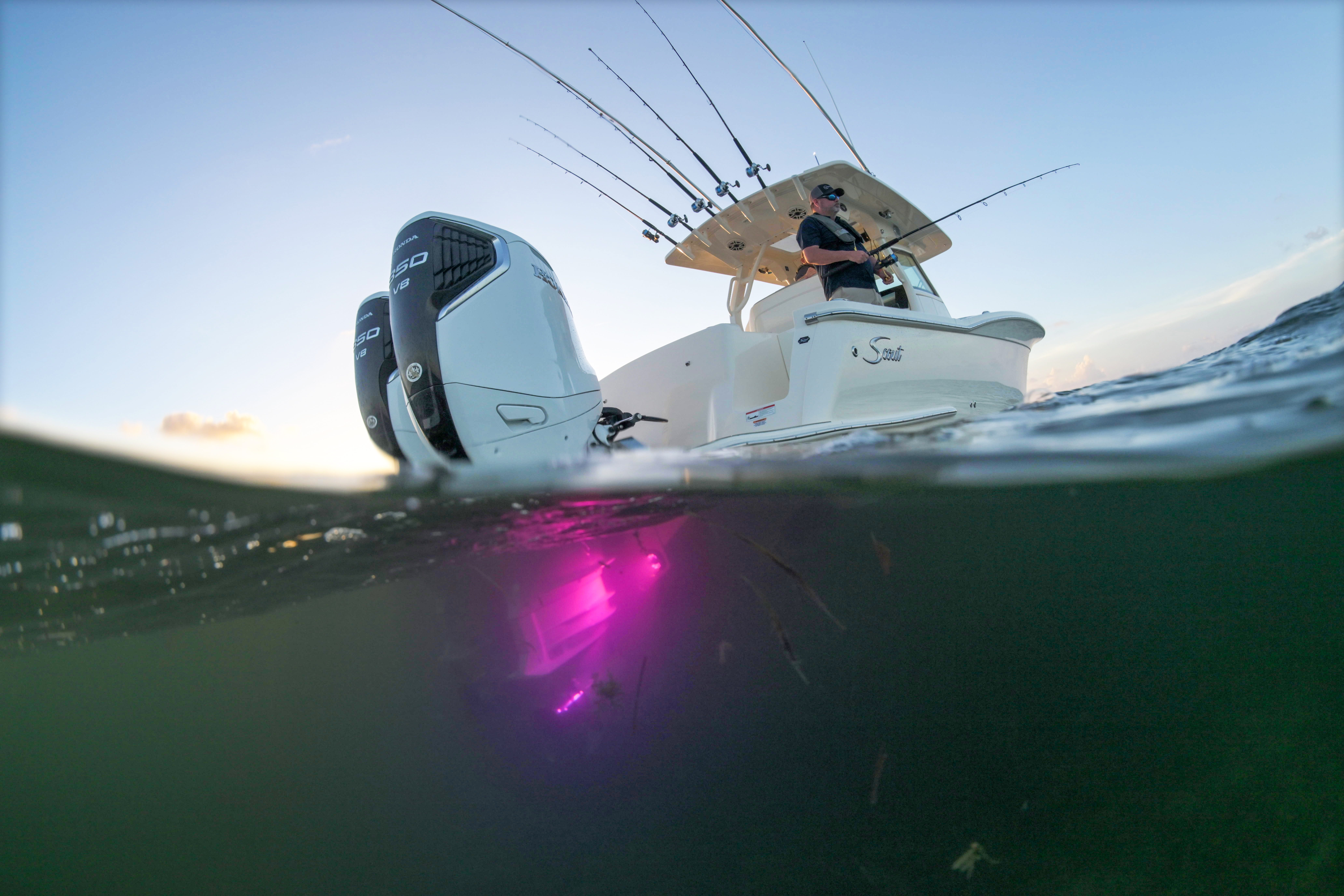 OceanLED Sport Colors – Camera Edition: