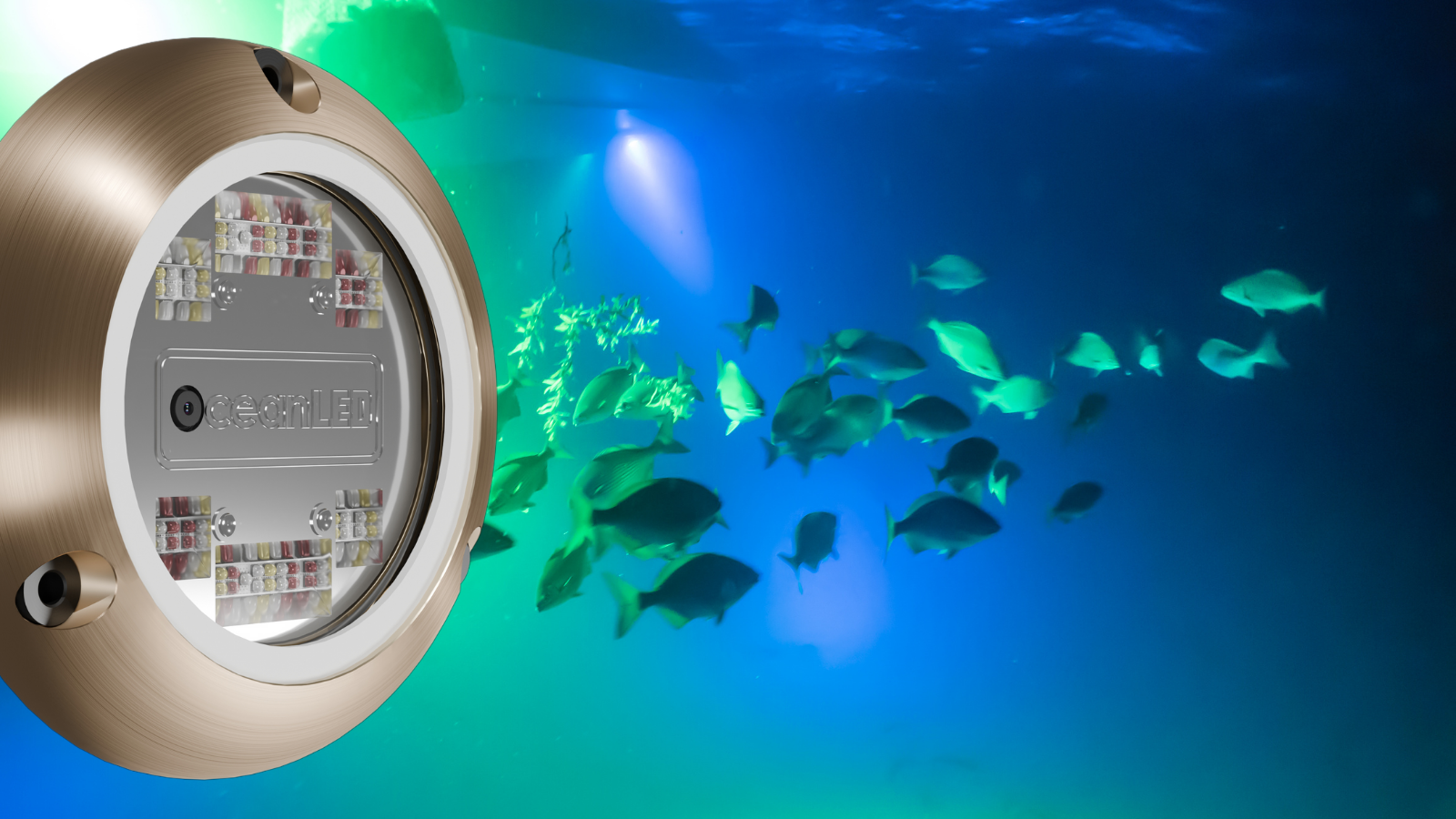 OceanLED Sport Colors – Camera Edition