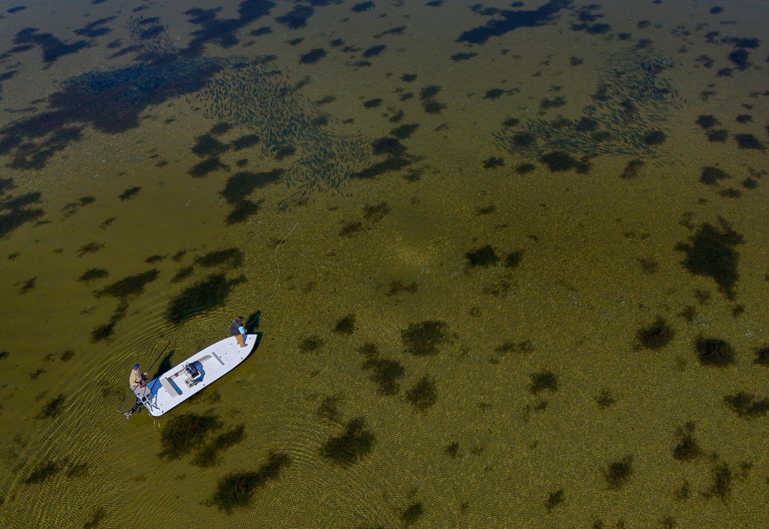 THE HIDDEN STRIPED BASS FRONTIER OF QUEBEC