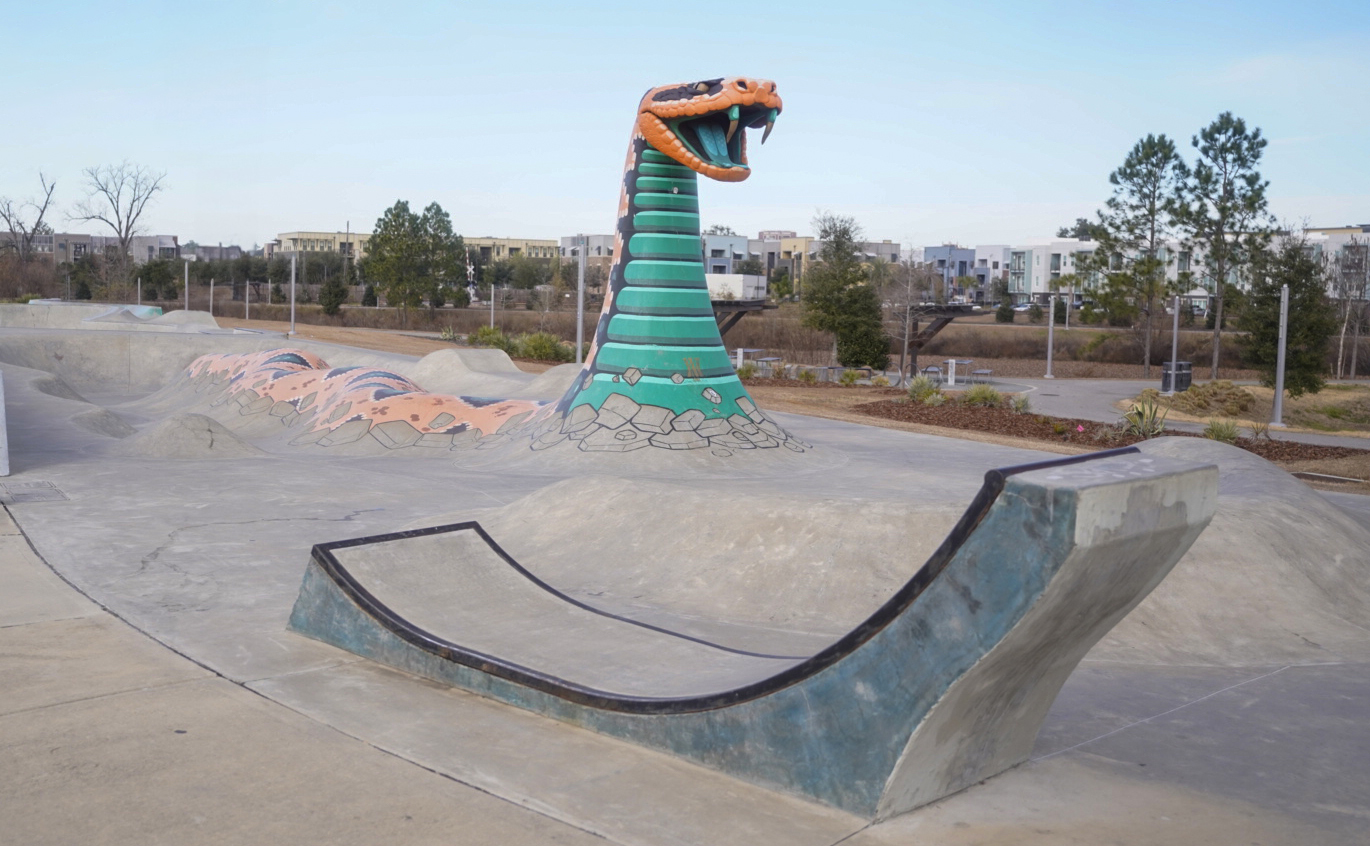 Art Skate Park in Tallahassee