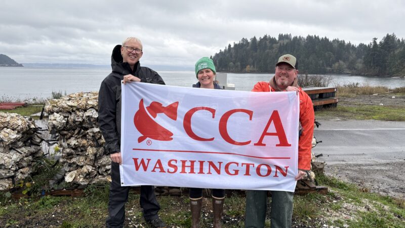 How CCA Washington and PSRF Are Restoring Puget Sound’s Native Oyster