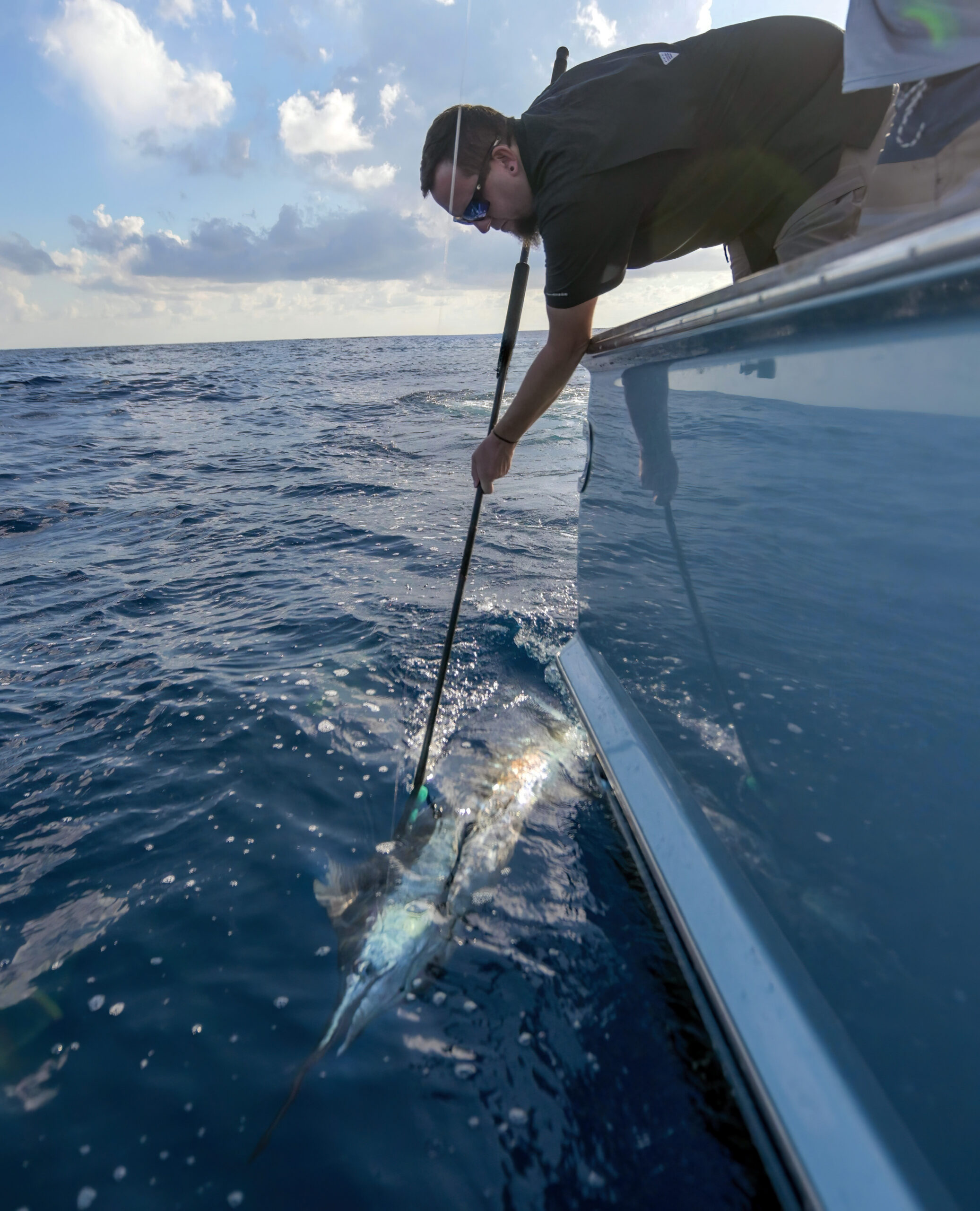 Tracking Blue Marlin in the Western Gulf
