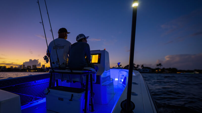 Scanstrut Navlight